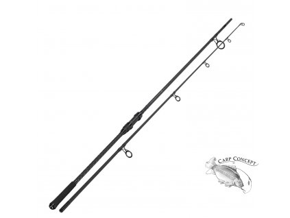 sportex competition cs 4 carp 12ft 300lbs 2tlg