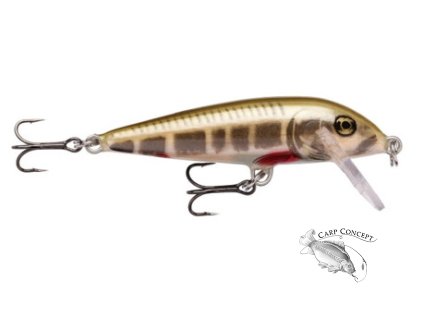rapala count down sinking 07 bva 1