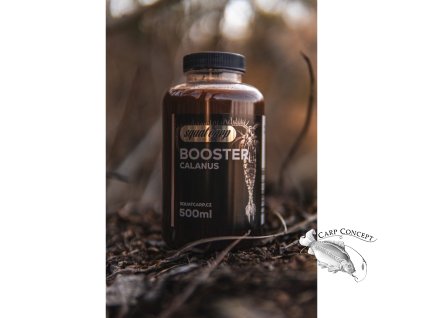 484 booster calanus