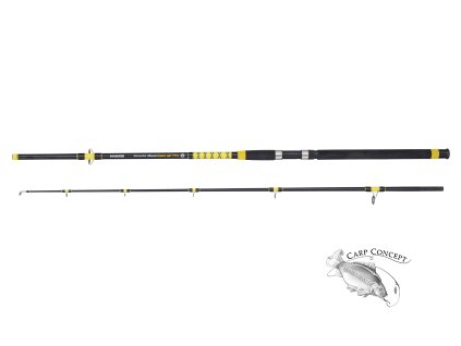 Fanatic Catfish  2,7 m  200 - 400 g