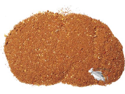 M GV1CASTR Kapr Jahoda