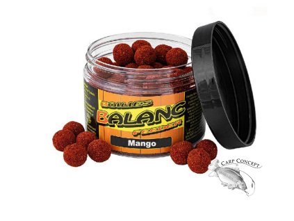 Screenshot 2025 03 24 at 15 04 46 Boilies Balanc Feeder 80 g 12 mm Mango Carp Servis Václavík