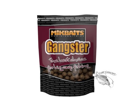 Screenshot 2025 03 25 at 11 09 35 Mikbaits Gangster boilie G20 Enigma