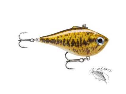 0253747E 0A7B 4076 BADC 5248AFC23360 RPR SBL