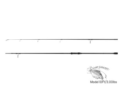 Screenshot 2021 02 11 Delphin Prut Paranoya 10ft 3,00lbs(1)