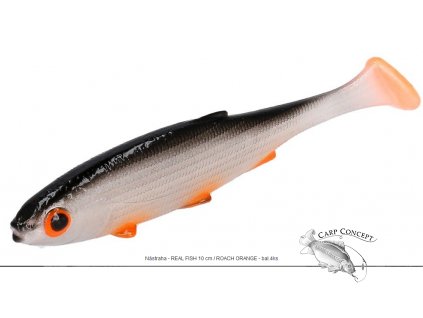 Nástraha - REAL FISH 10cm /bal.4ks