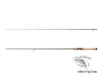 Delphin TROUTERA SoftLURE 210cm/1-7g/2 díly