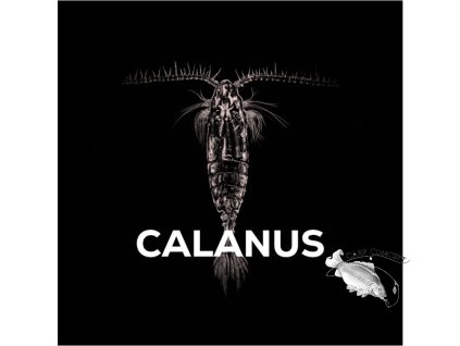 Screenshot 2025 04 07 at 12 54 03 Pure Calanus Hydro Squat Carp oficiální eshop