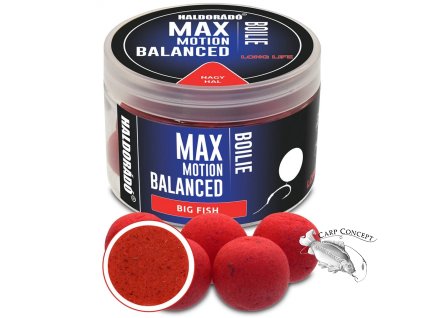 haldorado boilies balanced max motion 70g 20mm velka ryba