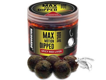 haldorado boilies dipped max motion 80g 20mm pikantni cervena jatra