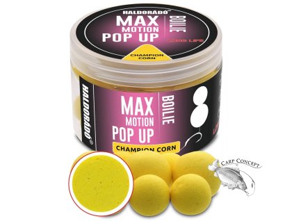 haldorado pop up boilies max motion 50g 16 20mm champion corn