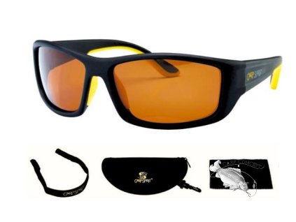 C11F096D 88D9 4E36 A03C 0E08D2669A2E Carpspirit Sunglasses