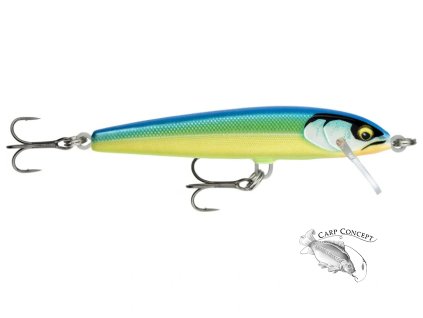 Screenshot 2025 06 04 at 09 06 52 Rapala Floater Elite – prémiový wobler pro trofejní úlovky