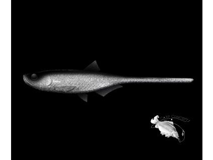 Screenshot 2025 06 05 at 09 19 40 LIBRA LURES Bleak Slug Tail 8 2 21cm – Ghost 002 Oukrofishing