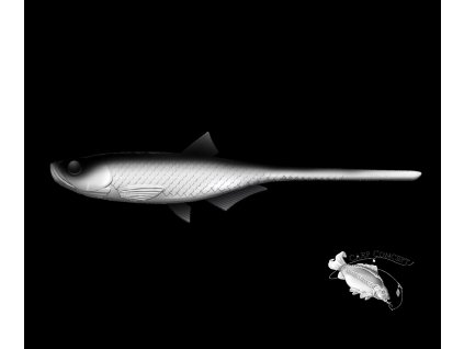 Screenshot 2025 06 05 at 09 29 18 LIBRA LURES Bleak Slug Tail 8 2 21cm – White 001 Oukrofishing