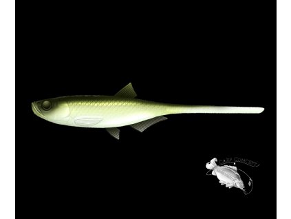 Screenshot 2025 06 05 at 09 40 43 LIBRA LURES Bleak Slug Tail 8 2 21cm – Olive Whitefish 031 Oukrofishing