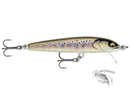 Screenshot 2025 07 23 at 09 53 40 Rapala Floater Elite 85 GDBT