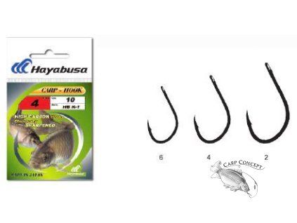 hayabusaK1