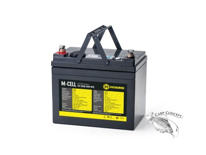 M MCELL LiFePO4 1250C label 60