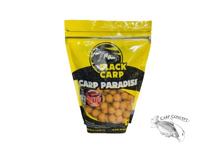 Screenshot 2025 09 02 at 11 56 24 Black Carp Activ boilies Mango 20mm 1kg Rybářský sen prodej rybářského vybavení