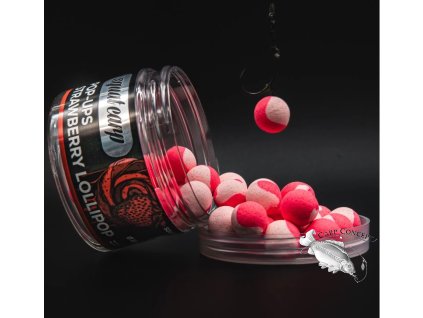 Screenshot 2025 09 23 at 09 41 34 Pop Up Strawberry Lollipop Squat Carp oficiální eshop