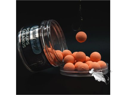 Screenshot 2025 09 25 at 10 06 04 Pop Up Calanus Squat Carp oficiální eshop