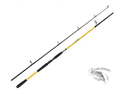 zfish prut kodiak 2 40m 100 250g