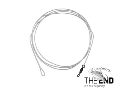 Návazec Delphin THE END FLRcarbon Leader / 1ks (Velikost Návazec Delphin THE END FLRcarbon Leader / 1ks 100 cm / 30lbs)