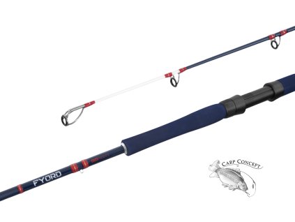 Delphin FYORD BigBOAT (Velikost Delphin FYORD BigBOAT 200cm/300-400g/2díly)