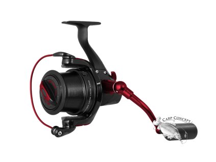 Delphin RAYA 55 Y body