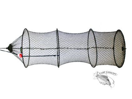Vezírek Delphin BASE