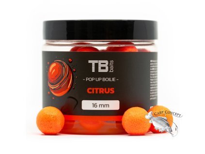 tb baits plovouci boilie pop up orange citrus nhdc 65 g p214