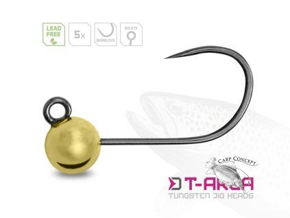 Wolframový jig Delphin T-AREA BL/5ks