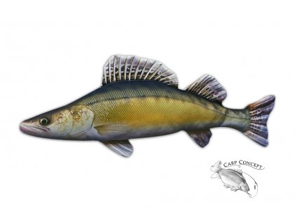 Gaby polštářek ryba - Candát 77cm