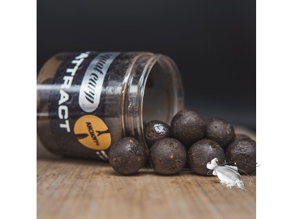 Anchovy+ - boilies v dipu (Varianta Anchovy+ v dipu 18mm)