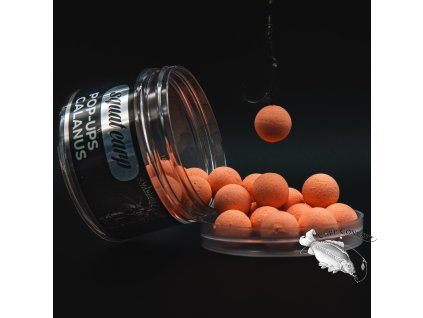 Pop-Up Calanus (Varianta Pop Up Calanus 12mm)