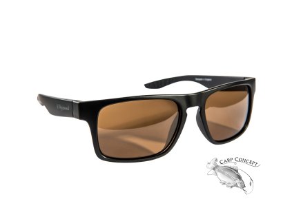 Sluneční brýle Wychwood Profile Brown lens