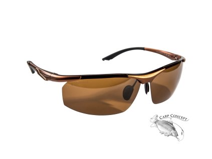 Sluneční brýle Wychwood Aura Brown Polarised Sunglasses