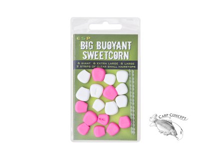 big buoyant sweetcorn ruzova bila