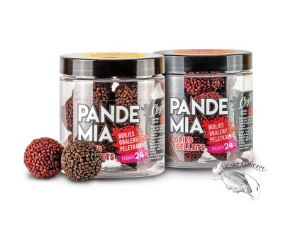 Pandemie 24 mm 2023 01 profilovka