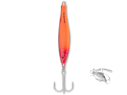 vyr 24062 RBS 1