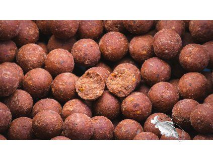 EnerGizeBoilies (1)