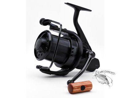 daiwa basia sld qd