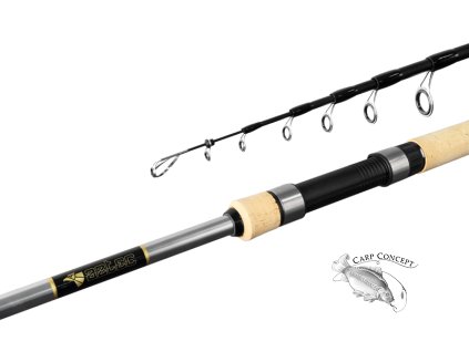 Delphin Prut Aztec tele 180cm 10-30g