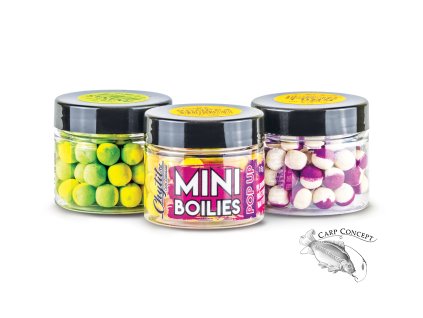 MINI popup 2024 01 profilovka