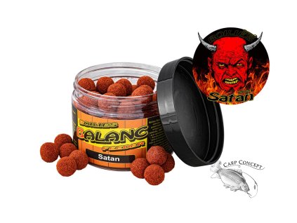 Screenshot 2023 08 25 at 14 41 48 Boilies Balanc Feeder 80 g 12 mm Satan Carp Servis Václavík