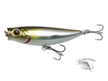 Screenshot 2023 11 13 at 10 44 57 Savage Gear Umělá nástraha 3D Minnow Popper 5.5cm 6g Mirror Ayu