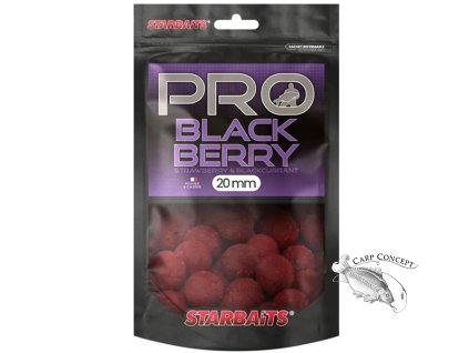 Screenshot 2024 04 12 at 14 02 16 Starbaits Boilies Pro Blackberry 200g