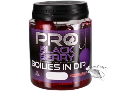 Screenshot 2024 07 30 at 13 17 26 Boilies In Dip Pro Blackberry 150g 24mm