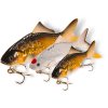 baby carp 2